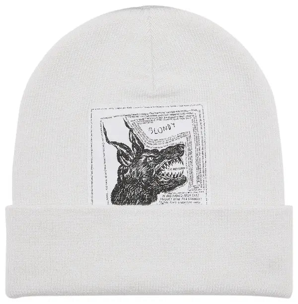 Supreme x The North Face Beanie 'White'